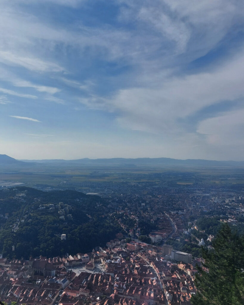 Picture on Top of The Mountain in The City by Alma Lewtom